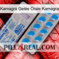 Kamagra Gelée Orale Kamagra new15